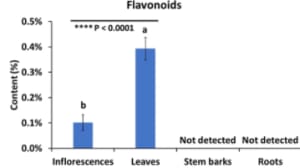 flavonoid - bagian tanaman ganja - senyawa metabolit